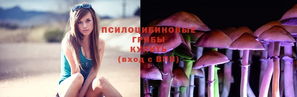 дживик Арсеньев